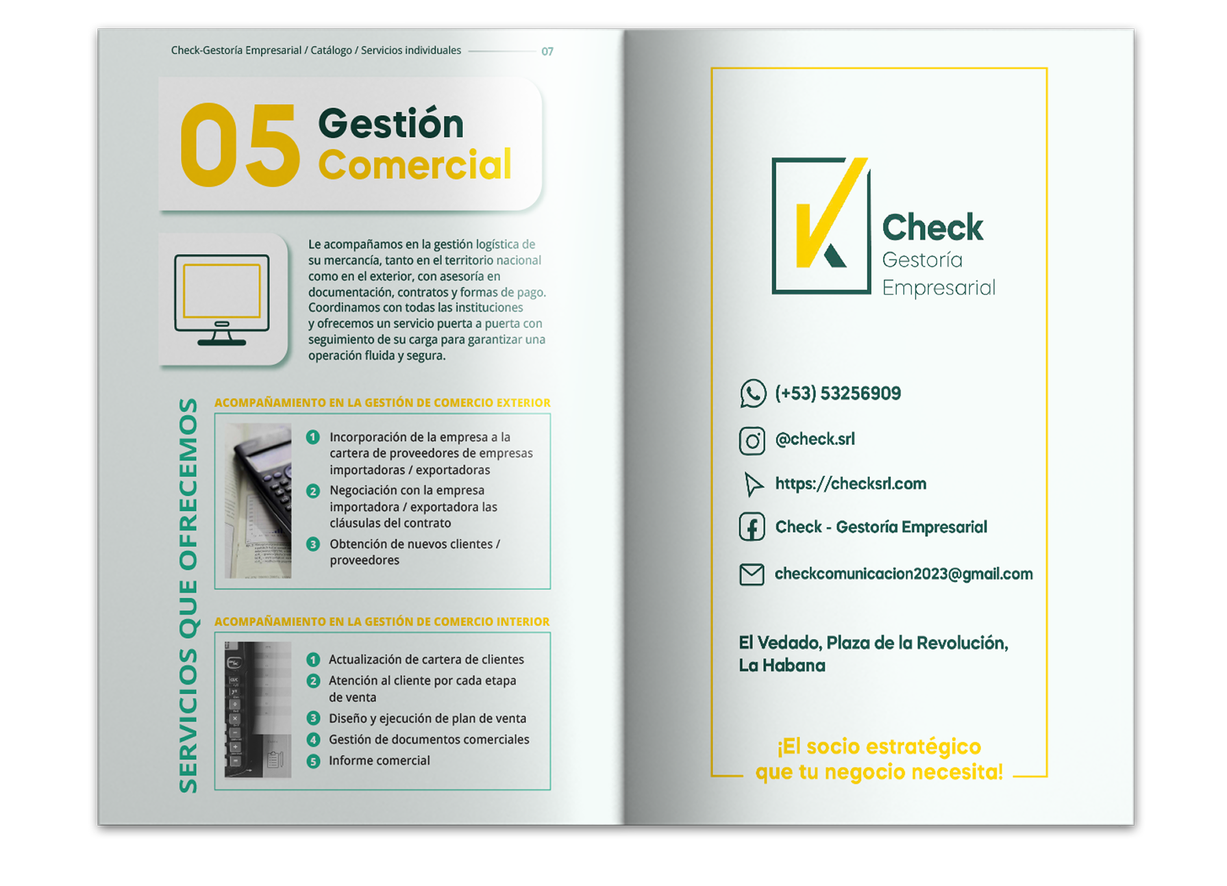 Página 4 del catálogo